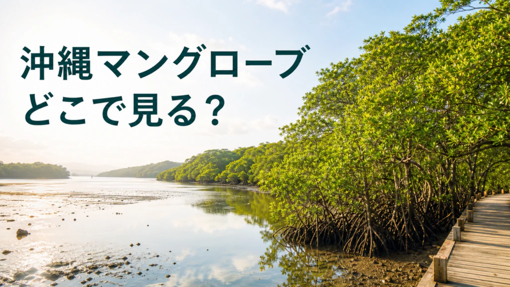 沖縄本島のマングローブ林と水辺を比較する自然体験ガイドのイメージ